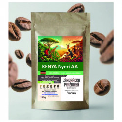 Zrnková káva KENYA Nyeri AA 100% Arabica - 500g